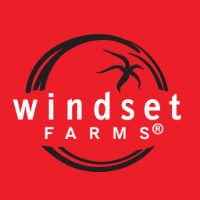 Windsetlogo@2x