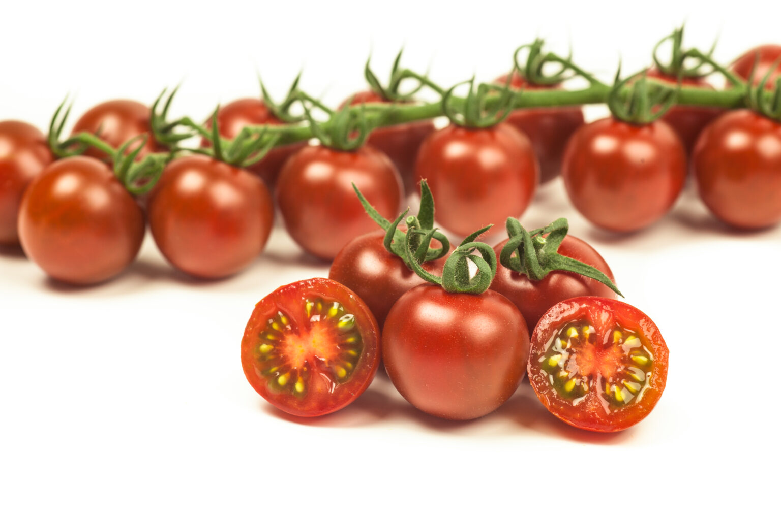 Sainsbury’s Caramella Cherry Vine Tomatoes AXIA seeds