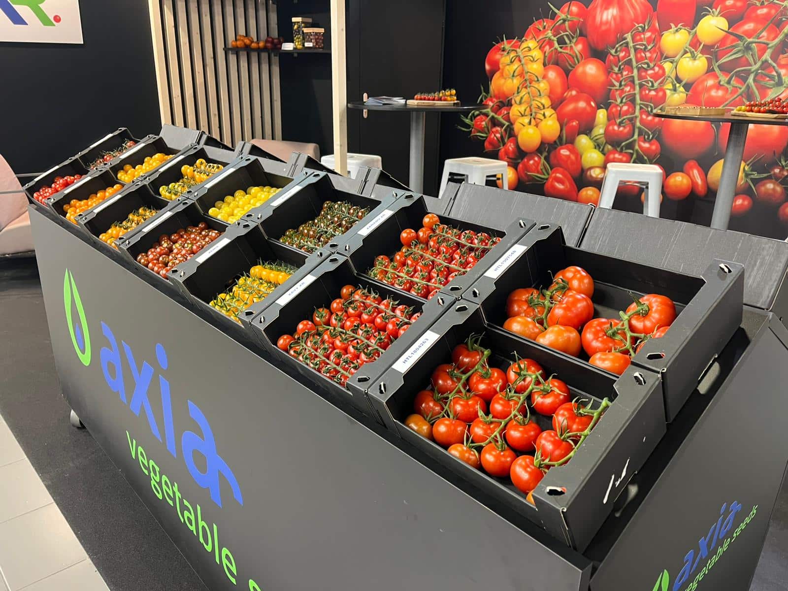 Whatsapp Image 2025 01 14 At 09.21.54 1