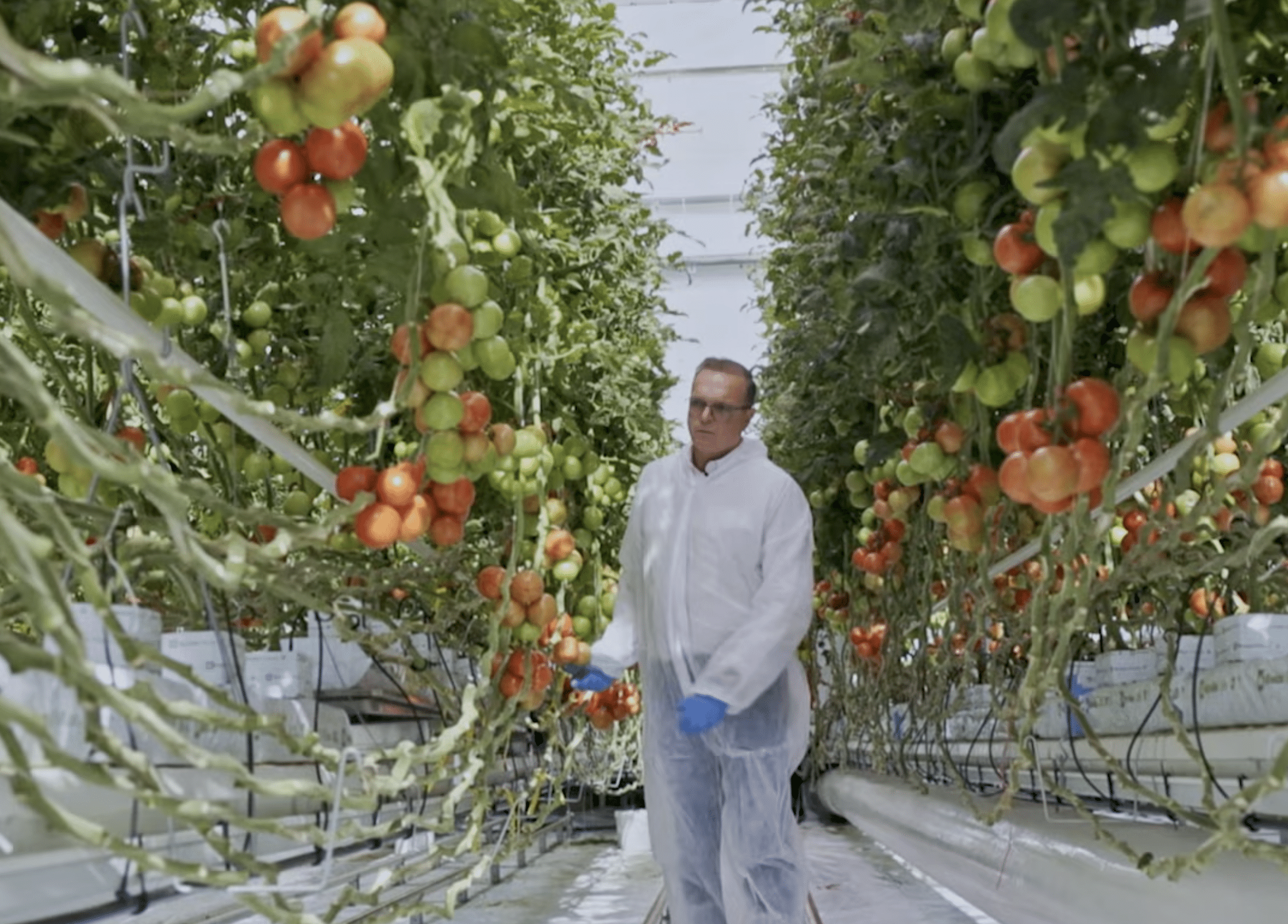 Scherm­afbeelding 2026 04 09 Om 11.51.01